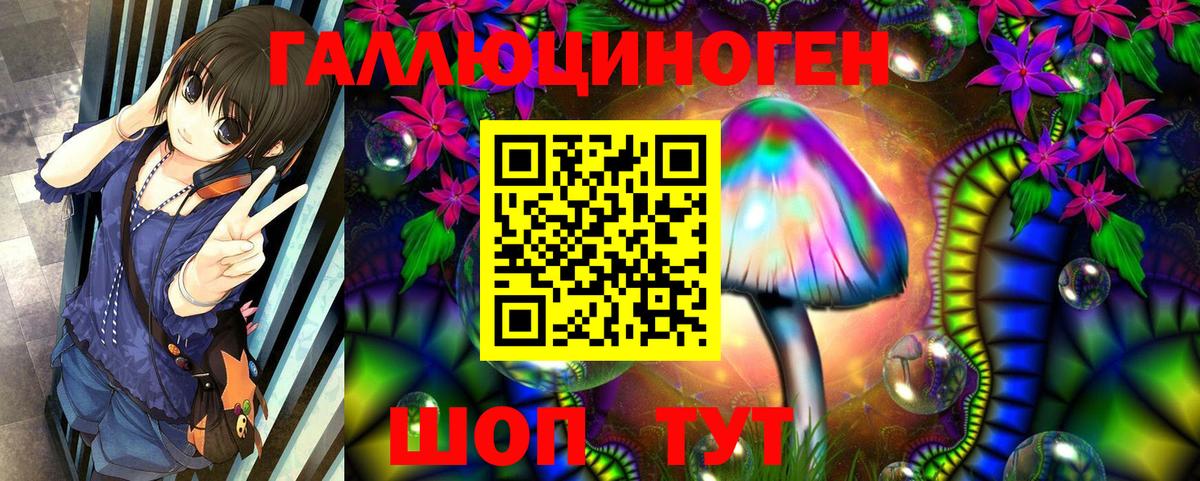 купить закладку  Вход с VPN  Бахчисарай  Галлюциногенные грибы MAGIC MUSHROOMS  Галлюциногенные грибы мухоморы 